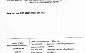 Дотоод аудит