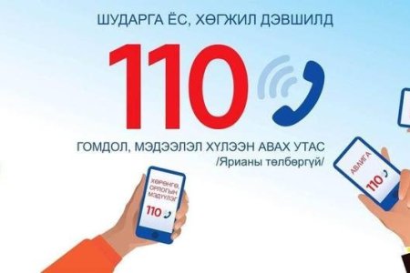 Авлигыг мэдээлэх 110 тусгай дугаар