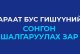Хараат бус гишүүнийг сонгон шалгаруулах зар