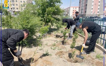 Өмнөговь аймагт “Улсын бүртгэлийн төгөл” байгуулж, тохижуулах ажил эхэллээ