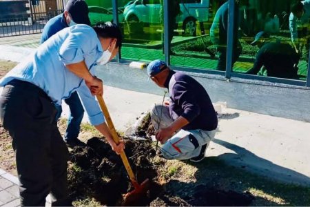 Төв аймаг дахь Улсын бүртгэлийн хэлтсийн хамт олон өнөөдөр 108ш мод тарилаа