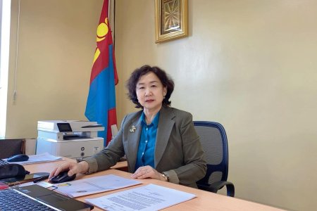 М.Отгонбаяр: Иргэд урт дараалалд зогсож, бүртгэлээ гараар бичүүлдэг байсан үе ард хоцорчээ