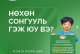 НӨХӨН СОНГУУЛЬ ГЭЖ ЮУ ВЭ?
