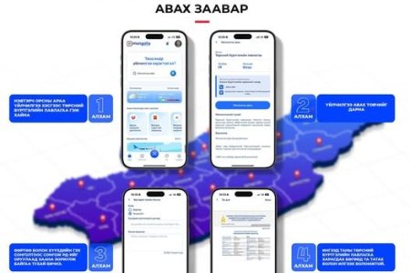 Төрсний бүртгэлийн лавлагааг E-Mongolia системээс хэрхэн авах вэ ?