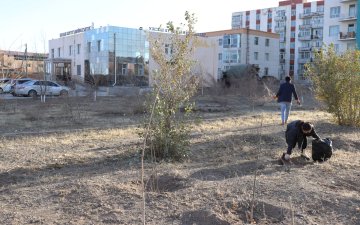 Байгууллагынхаа ойр орчмын хог хаягдлыг цэвэрлэлээ