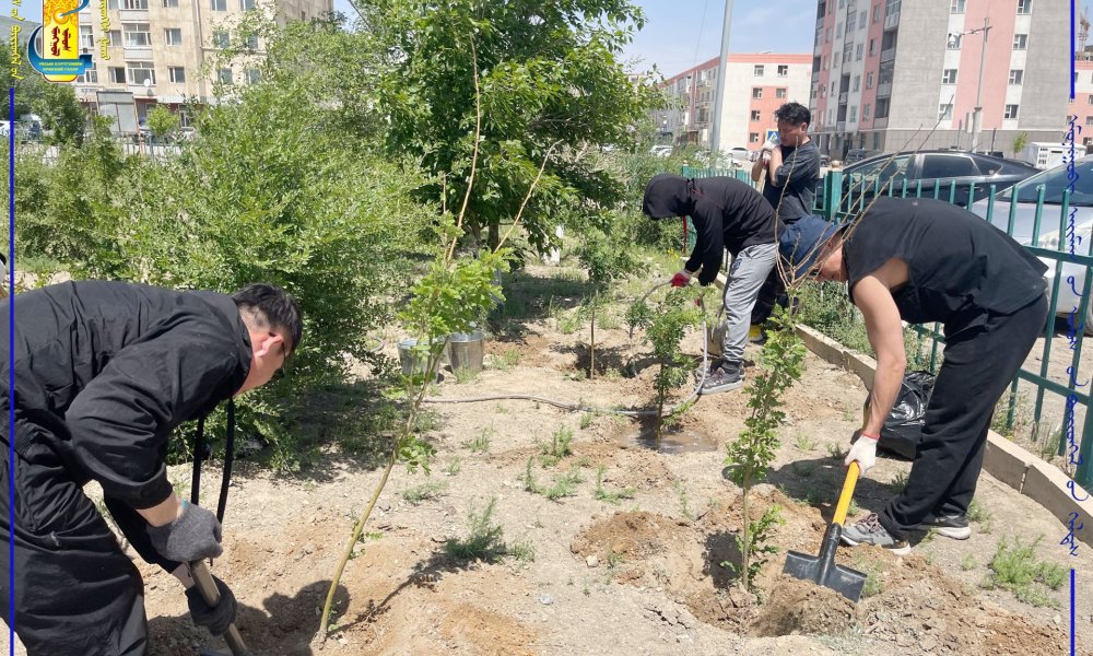 Өмнөговь аймагт “Улсын бүртгэлийн төгөл” байгуулж, тохижуулах ажил эхэллээ