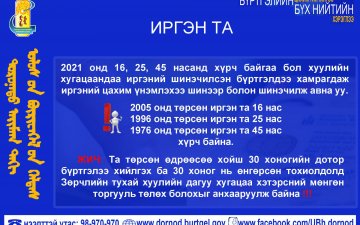 Иргэн та 
