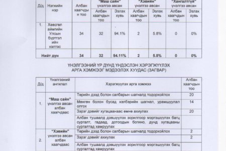 ТӨРИЙН ЗАХИРГААНЫ АЛБАН ХААГЧДЫН ГҮЙЦЭТГЭЛИЙН ҮНЭЛГЭЭ.