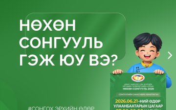 НӨХӨН СОНГУУЛЬ ГЭЖ ЮУ ВЭ?