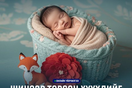 ШИНЭЭР ТӨРСӨН ХҮҮХДИЙГ ТӨРСНИЙ БҮРТГЭЛД БҮРТГҮҮЛЭХ ХҮСЭЛТ ИЛГЭЭХ ЗААВАР
