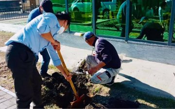 Төв аймаг дахь Улсын бүртгэлийн хэлтсийн хамт олон өнөөдөр 108ш мод тарилаа