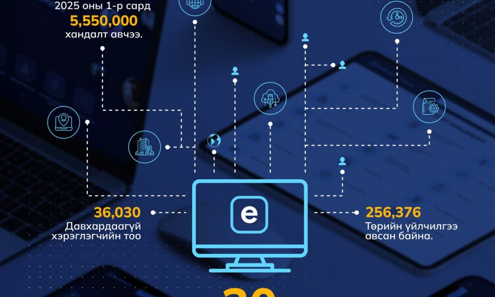 E-Business системийн 30 хоногийн статистик мэдээллийг танилцуулж байна