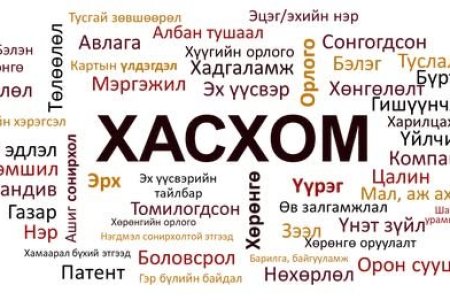 Шинэ маягтаар ХАСХОМ гаргаж эхэллээ 