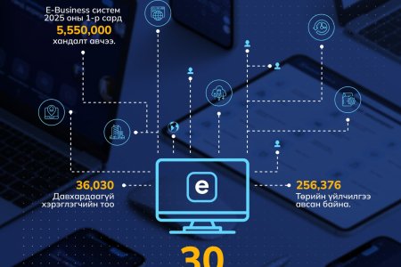 E-Business системийн 30 хоногийн статистик мэдээллийг танилцуулж байна