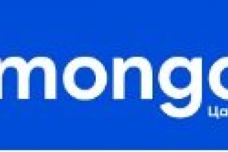 www.E-Mongolia.mn -г хэрхэн ашиглах вэ?