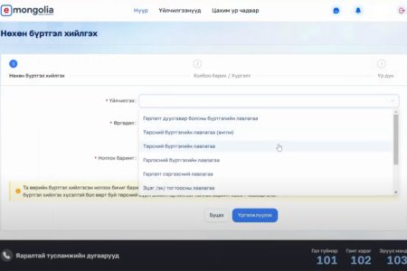 E-Mongolia аппликейшн ашиглан цахимаар нөхөн бүртгэлийн үйлчилгээг авах заавар