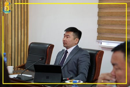 Азийн хөгжлийн банкны дэмжлэгтэйгээр хэрэгжиж буй төслийн зөвлөх багийг хүлээн авч уулзлаа