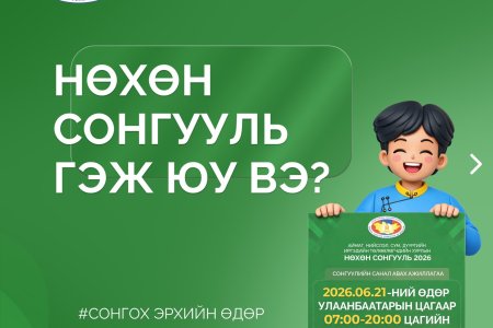 НӨХӨН СОНГУУЛЬ ГЭЖ ЮУ ВЭ?