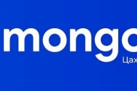 E-Mongolia аппликэйшныг хэрхэн ашиглах вэ?