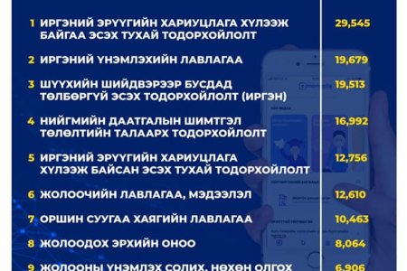 E-MONGOLIA-ААС ХАМГИЙН ИХ АВСАН 10 ҮЙЛЧИЛГЭЭ