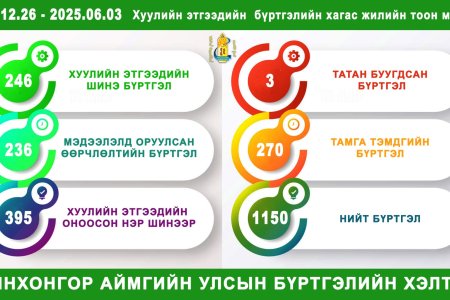 2025 оны хагас жилийн хуулийн этгээдийн бүртгэлийн мэдээ