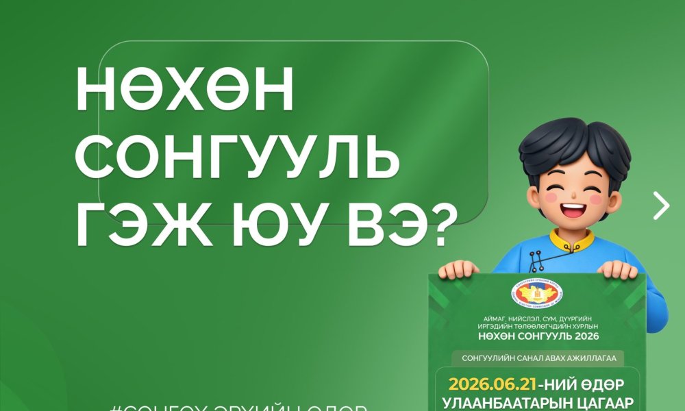 НӨХӨН СОНГУУЛЬ ГЭЖ ЮУ ВЭ?