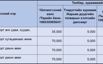 Үндэсний энгийн гадаад паспортын төлбөрийн мэдээлэл