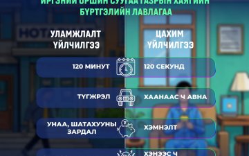 Иргэн та 