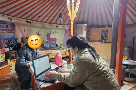 ЗӨӨВРИЙН ТОНОГ ТӨХӨӨРӨМЖ АШИГЛАН УЛСЫН БҮРТГЭЛИЙН ҮЙЛЧИЛГЭЭГ ҮЗҮҮЛЛЭЭ