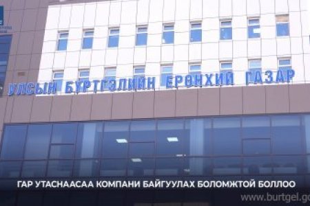 Гар утаснаасаа компани байгуулах боломжтой боллоо