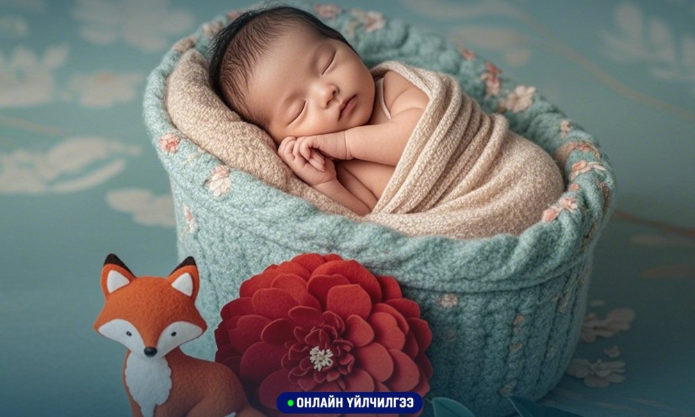 ШИНЭЭР ТӨРСӨН ХҮҮХДИЙГ ТӨРСНИЙ БҮРТГЭЛД БҮРТГҮҮЛЭХ ХҮСЭЛТ ИЛГЭЭХ ЗААВАР