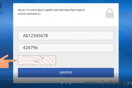 Нөхөн сонгуулийн сонгочдын нэрийн жагсаалтаас мэдээллээ хэрхэн шалгаж, баталгаажуулах вэ?