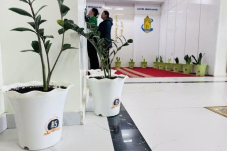 Өвөрхангай аймгийн Улсын бүртгэлийн хэлтэс “Бүртгэл-85” ногоон төгөл аян өрнүүлж байна