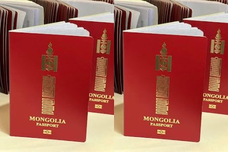 Е-Mongolia ашиглан гадаад паспорт захиалахдаа юу анхаарах вэ?