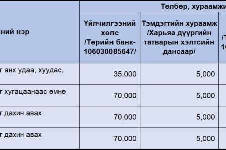 Үндэсний энгийн гадаад паспортын төлбөрийн мэдээлэл