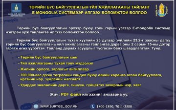 Төрийн бус байгууллагын эрхээр буюу тоон гарын үсгээр E-mongolia.mn системд нэвтрэн орж тайлангаа илгээх боломжтой.