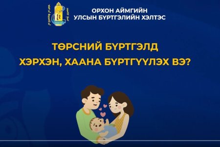 ШИНЭЭР ТӨРСӨН ХҮҮХДИЙГ ТӨРСӨН БҮРТГЭЛД ХЭРХЭН, ХААНА БҮРТГҮҮЛЭХ ЗААВАР