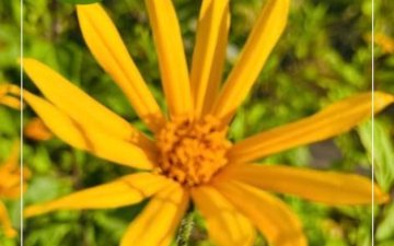 УЛСЫН БҮРТГЭЛИЙН БАЙГУУЛЛАГЫН ТҮҮХТ 85 ЖИЛИЙН ОЙ ХҮРЭЭНД