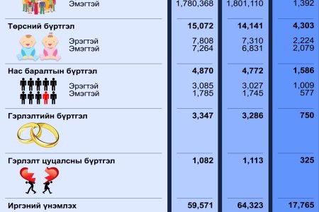 Улсын бүртгэлийн байгууллагын 2025 оны 03 дугаар сарын тоон мэдээ