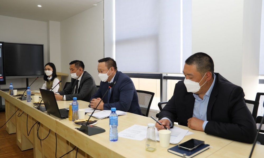 Азийн хөгжлийн банкны төлөөлөлтэй цахим уулзалт хийлээ