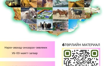 ХОРШОО ШИНЭЭР БАЙГУУЛАХАД