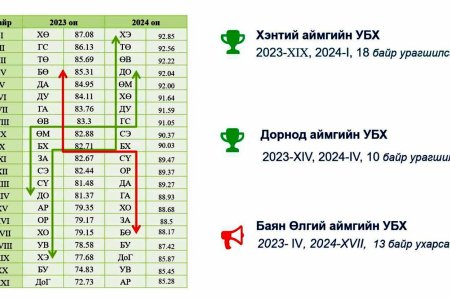 2024 оны үйл ажиллагаанд хийсэн хийсэн хяналт шалгалт шинжилгээ, үнэлгээ