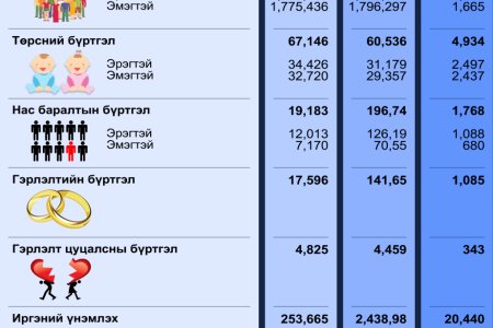 Улсын бүртгэлийн байгууллагын 2024 оны 12-р сарын тоон мэдээ