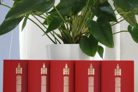 Үндэсний энгийн гадаад паспорт хэвлэгдэн ирлээ COPY