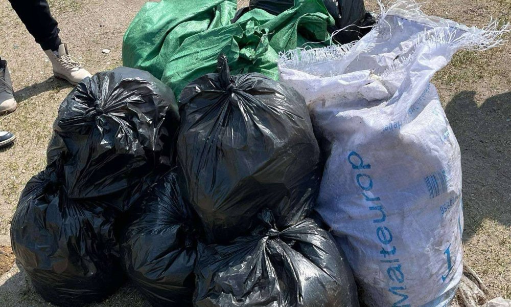 ХУВААРИЛАГДСАН ТАЛБАЙН ХОГ ХАЯГДЛЫГ ЦЭВЭРЛЭЛЭЭ