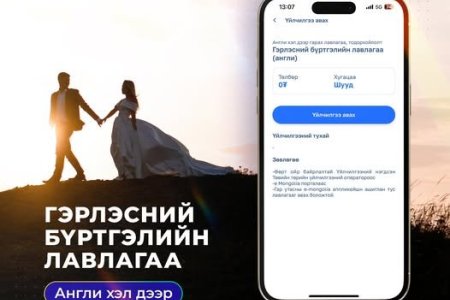 Иргэн та 