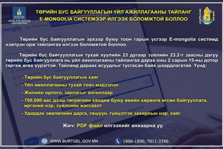 Төрийн бус байгууллагын эрхээр буюу тоон гарын үсгээр E-mongolia.mn системд нэвтрэн орж тайлангаа илгээх боломжтой.