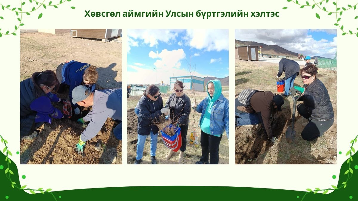 Хөвсгөл аймгийн Улсын бүртгэлийн хэлтсийн албан хаагчид 85 мод тарилаа