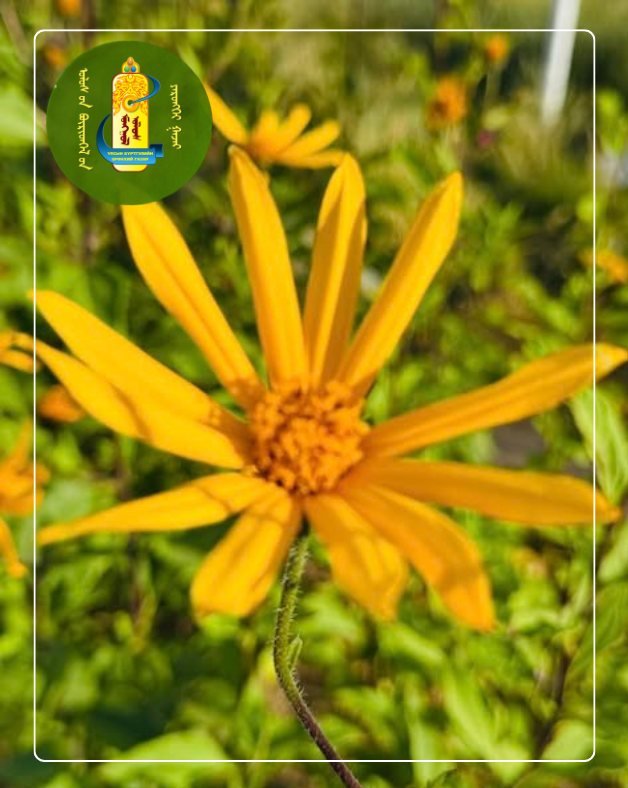 УЛСЫН БҮРТГЭЛИЙН БАЙГУУЛЛАГЫН ТҮҮХТ 85 ЖИЛИЙН ОЙ ХҮРЭЭНД