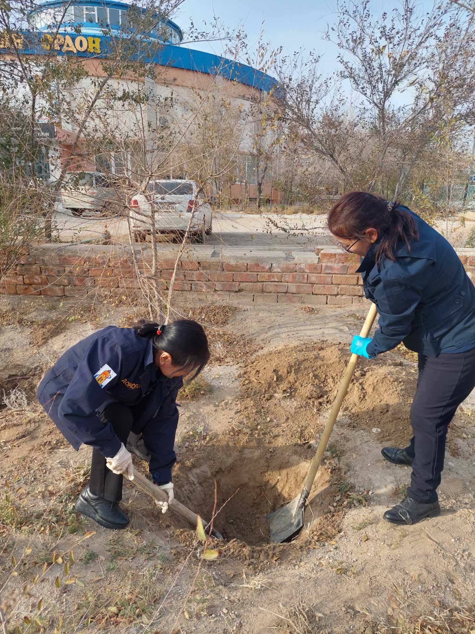 “Тэрбум мод” үндэсний хөтөлбөрийн хүрээнд 